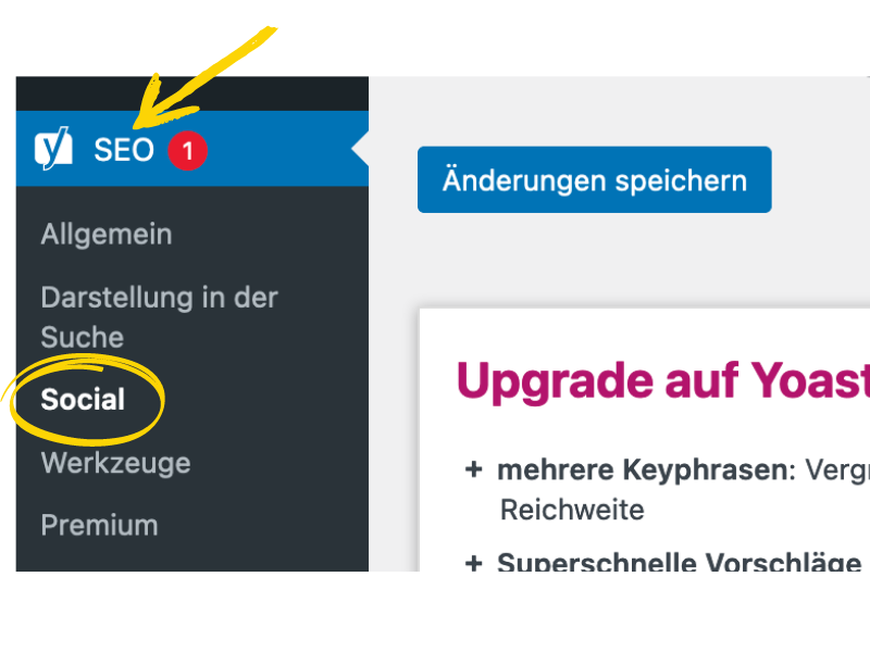Pinterest Website verifizieren wordpress - so gehts in 5 min | lisaseiller.com
